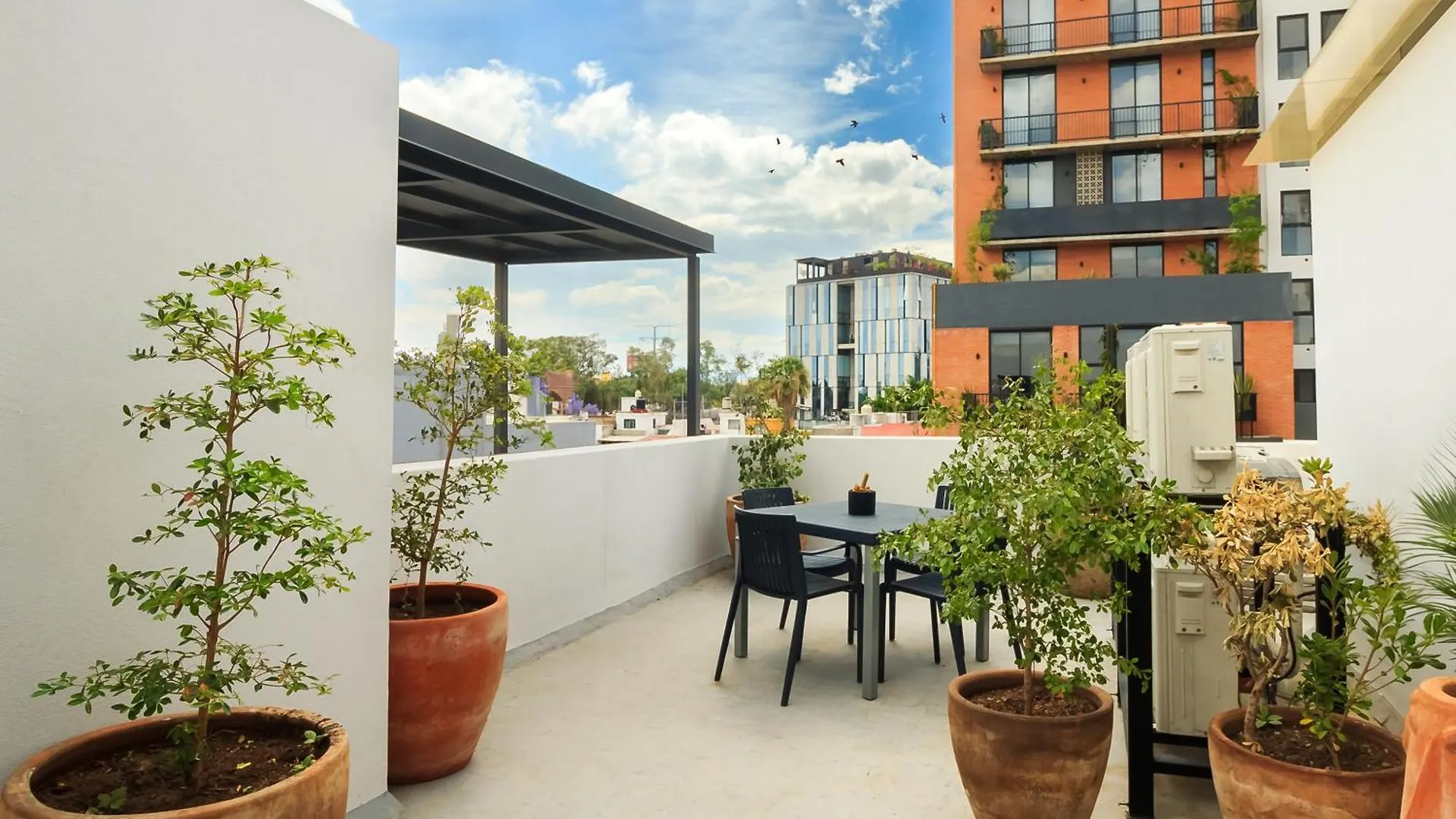 Apartamento Tribu San Martin Chapultepec Guadalajara